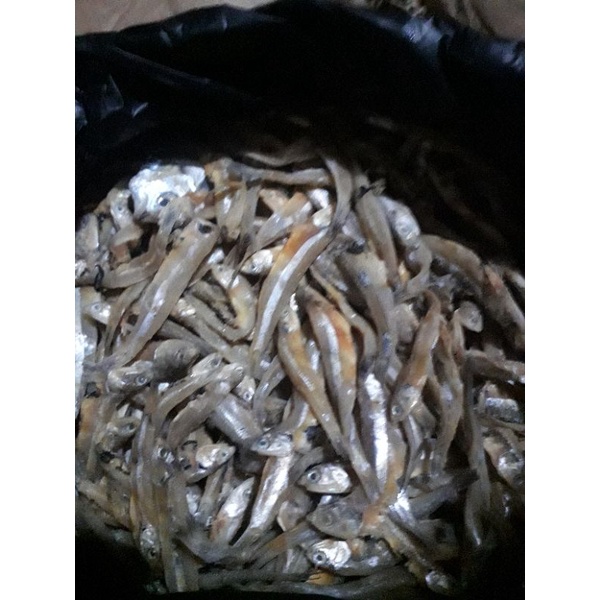 

ikanasinterimurah500g