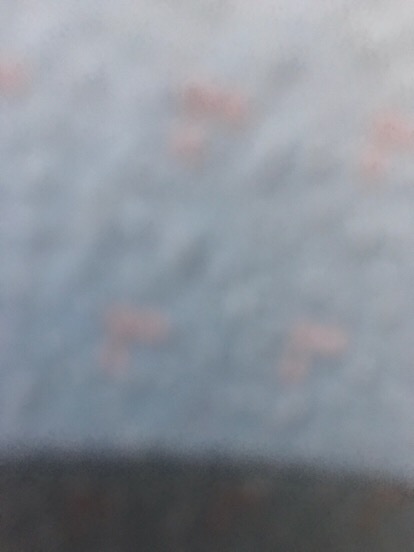 Meteran Gulung Putar 150 Cm / Meteran Mini Pengukur Lingkar Tukang Jahit