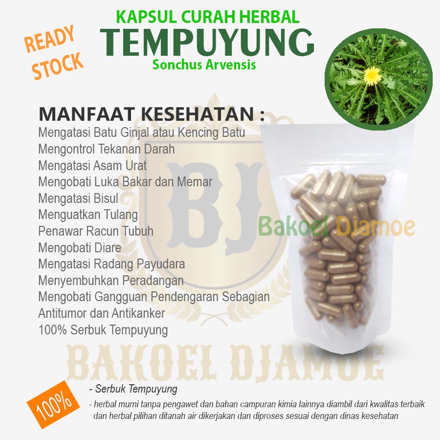 

Kapsul curah herbal tempuyung kapsul herbal batu ginjal