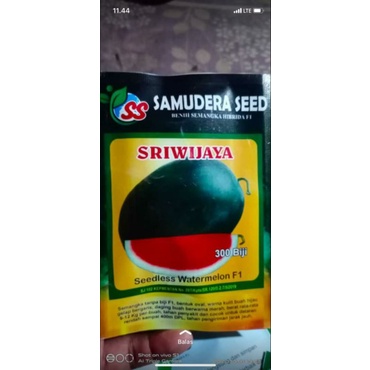 

SRIWIJAYA