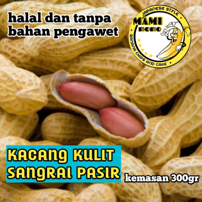 

KACANG KULIT SANGRAI PASIR/MAKANAN RINGAN PALING DI GEMARI