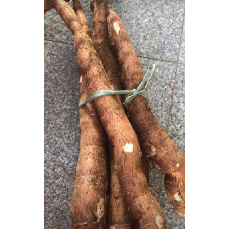 

Singkong Organik || 1000gram || Cassava