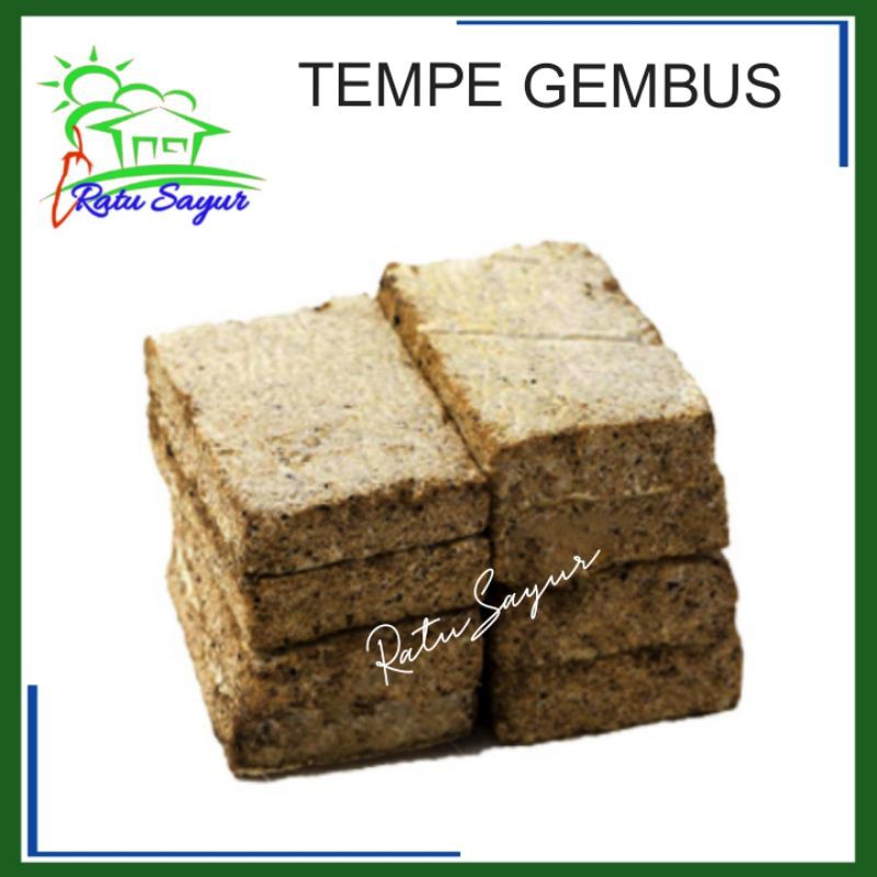 

TEMPE GEMBOS/ratusayur.id