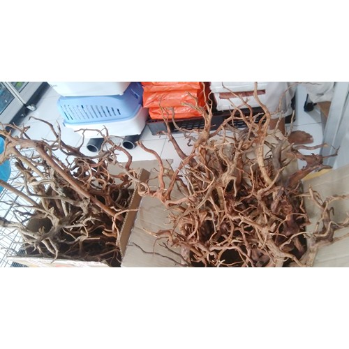 Akar Kayu Rasamala Size L untuk Aquascape Dekorasi Hiasan Aquarium 1pc