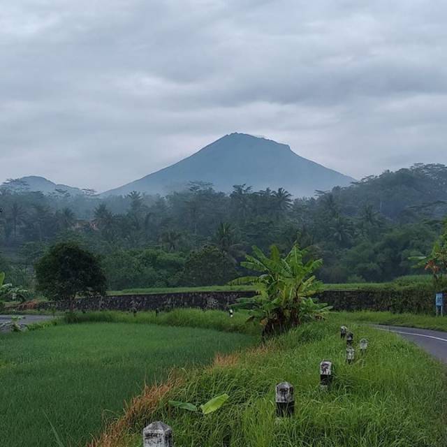 nanang0240