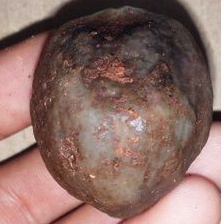 Muncang Buledan yanti