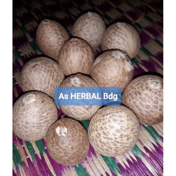 

Promo Biji Pinang tua Per 1 kg asli-az