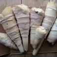 

Rebung muda fresh / 500 gram