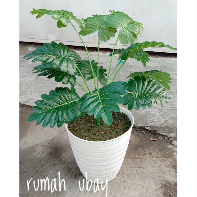 PHILO GERGAJI IMITASI Philo Green Saw Artificial Tinggi 65 CM
