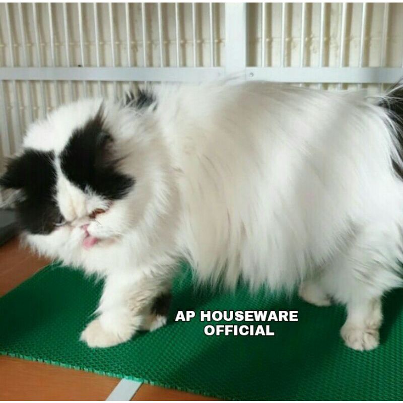 ALAS KANDANG KUCING - ANJING - REPTIL - KURA - TORTO - SUGAR GLIDER || KARPET JARING