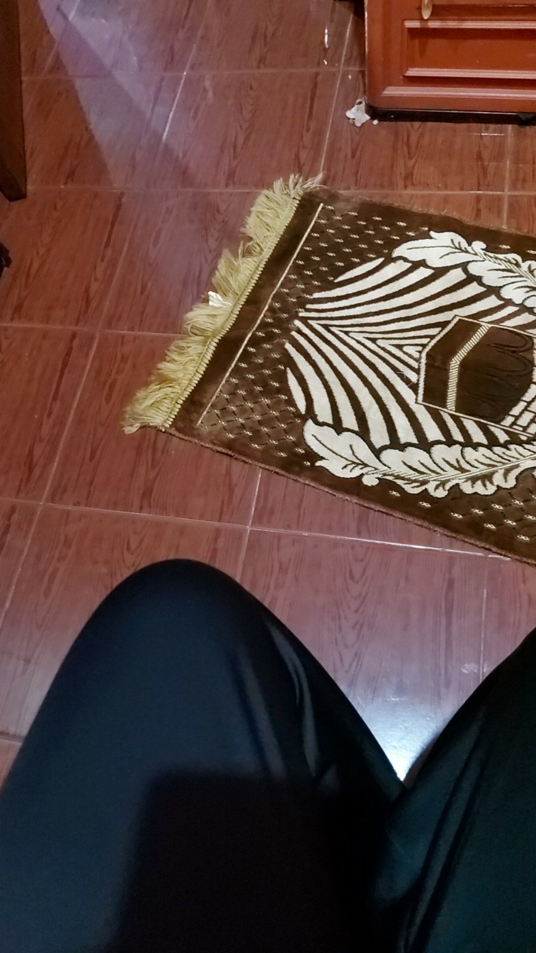 Kotak Makan 500ml Victory Food Box - Paket Hemat