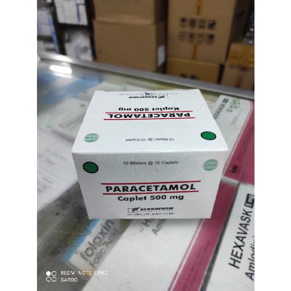 paracetamol 500 berno per box