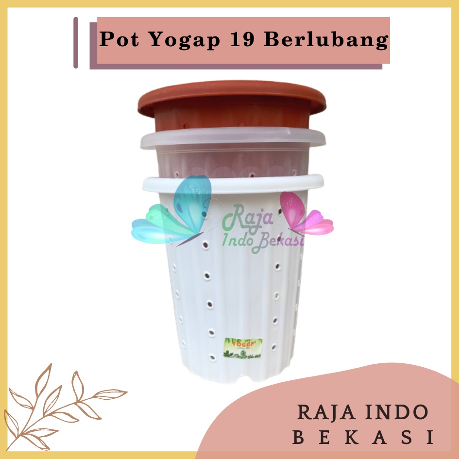 Pot Yogap 19 Putih Bening Transparan Merah Bata Merah Coklat Terracota Terracotta Berlubang POT BUNGA YOGAP UKURAN 19 DIAMETER 23CM BERLUBANG