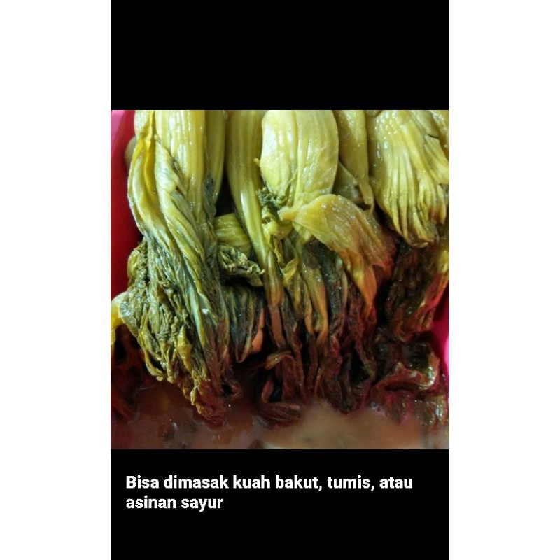 

Sawi Asin / Sayur Asin / Hamchoi 1 kg ASLI TANPA PENGAWET BUATAN