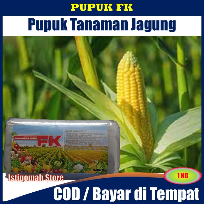 Pupuk FK 1 Kg untuk Jagung - Pupuk Jagung Terbaik - Pupuk untuk Tanaman Jagung - Pupuk Organik Pembesar Buah Jagung - Pupuk Jagung Agar Berbuah Besar - Pupuk Agar Jagung Berbobot - Pupuk Jagung Biar Subur - Pupuk Jagung Masa Generatif di Musim Hujan