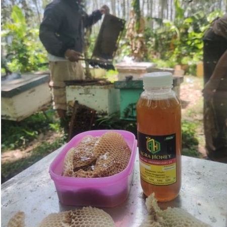 

600gr Madu asli dan murni ber garansi dari nektar alami