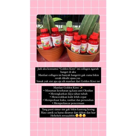 

GOLDEN KIREI MINUMAN COLLAGEN