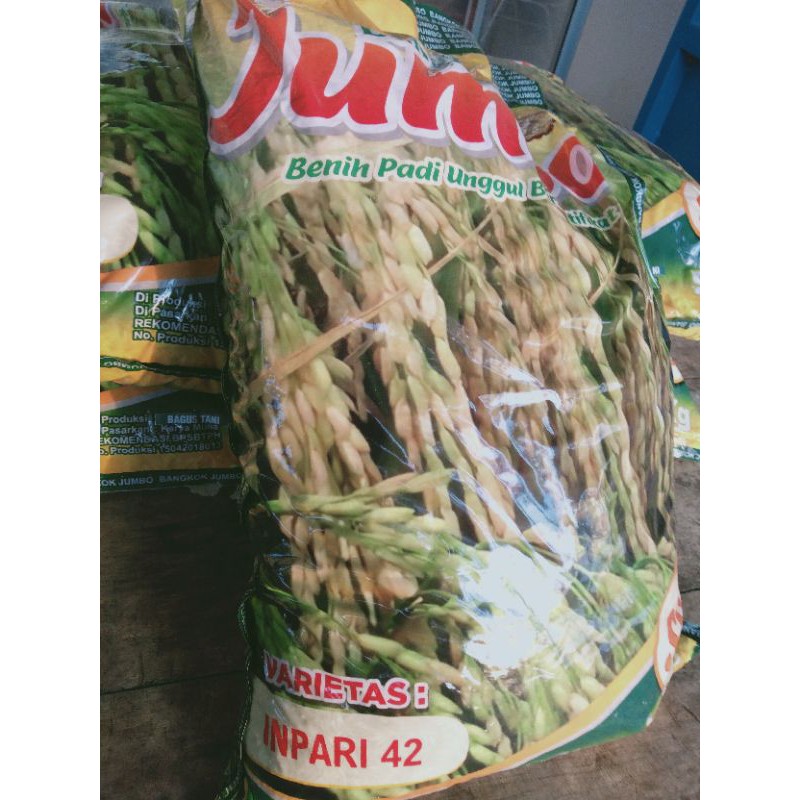 Benih Padi inpari 42 Bangkok jumbo 5kg