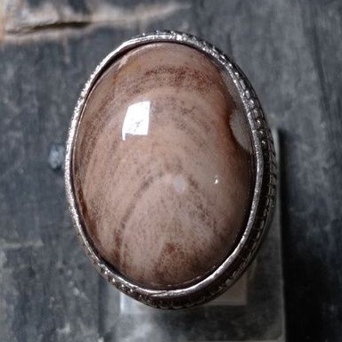 Cincin batu natural fosil kayu jati brown petrified wood motif junjung derajat langka