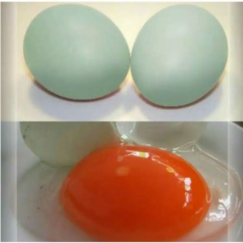

Telur bebek mentah per butir