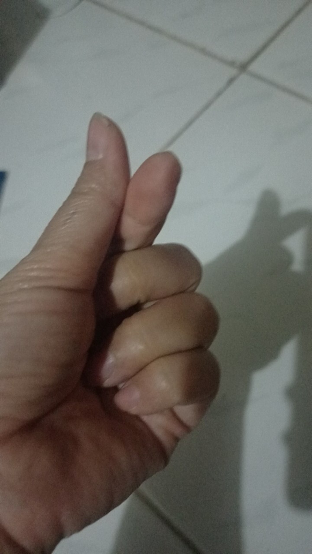 Cetakan Kue Lidah Kucing