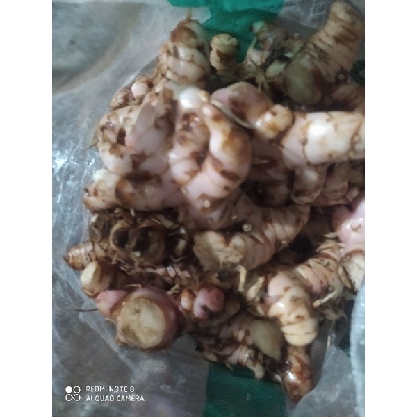 

Laja putih/laja sayur 1 kg