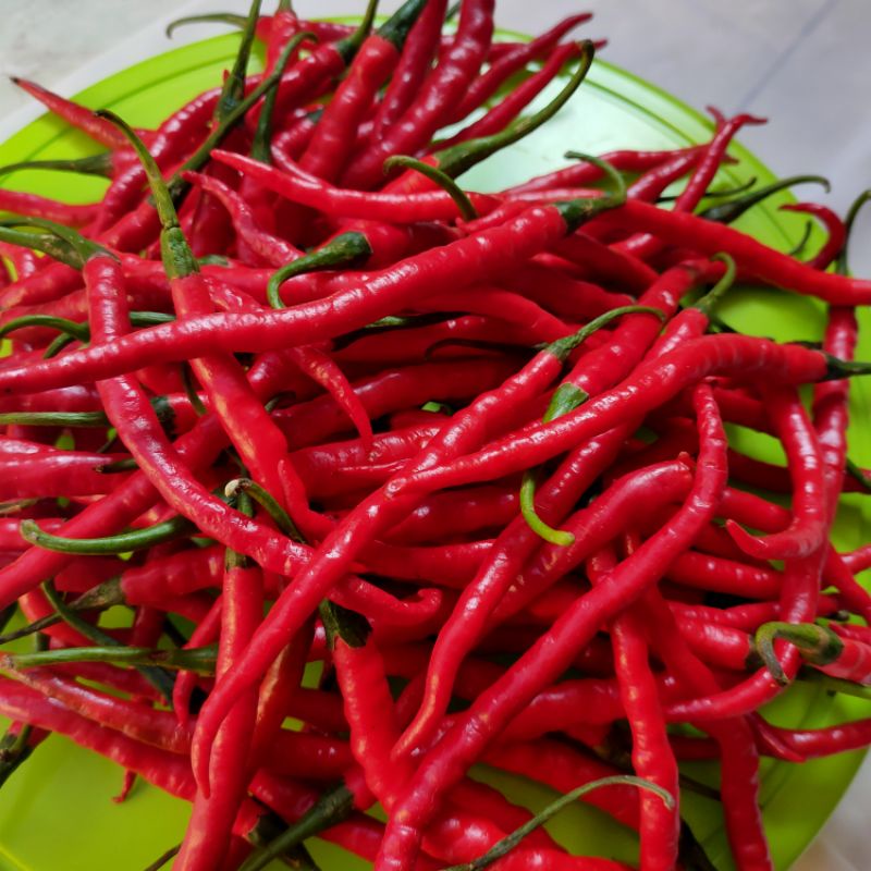 

cabe merah kriting/keriting merah 250gram