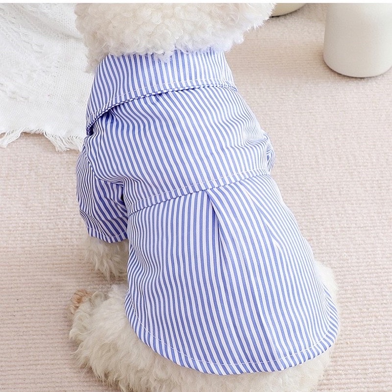 Ho young stripe shirt with bow