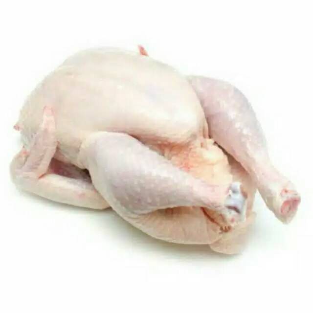 

Puri Segar Shop, Ayam potong ukuran 1 kg - 1,1kg Berat Bersih/ Ayam (Orderan Pagi Hari)