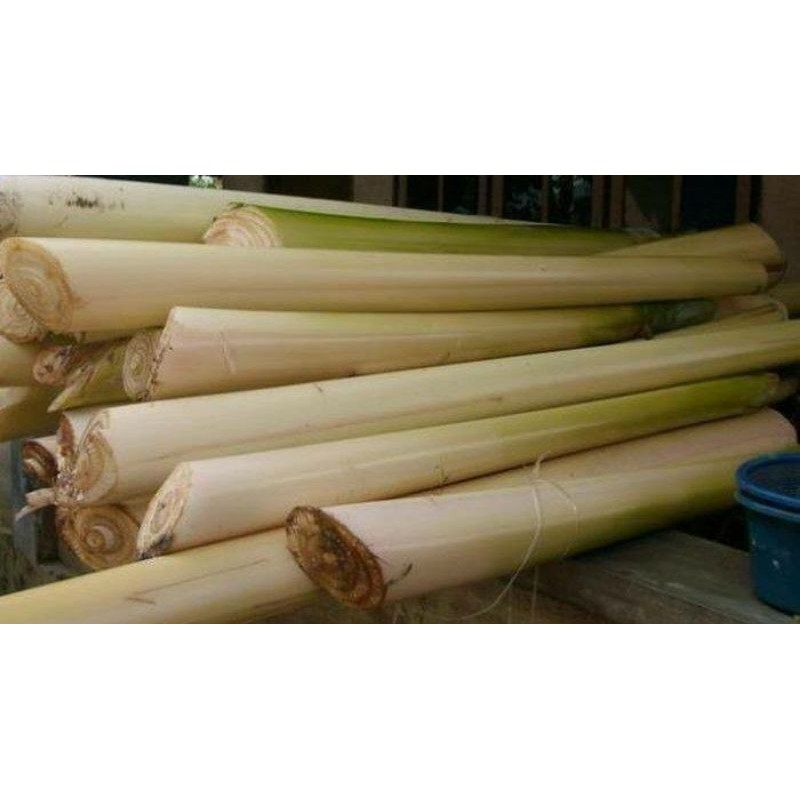Jual Gedebog pisang/Batang Pisang/KG Indonesia|Shopee Indonesia