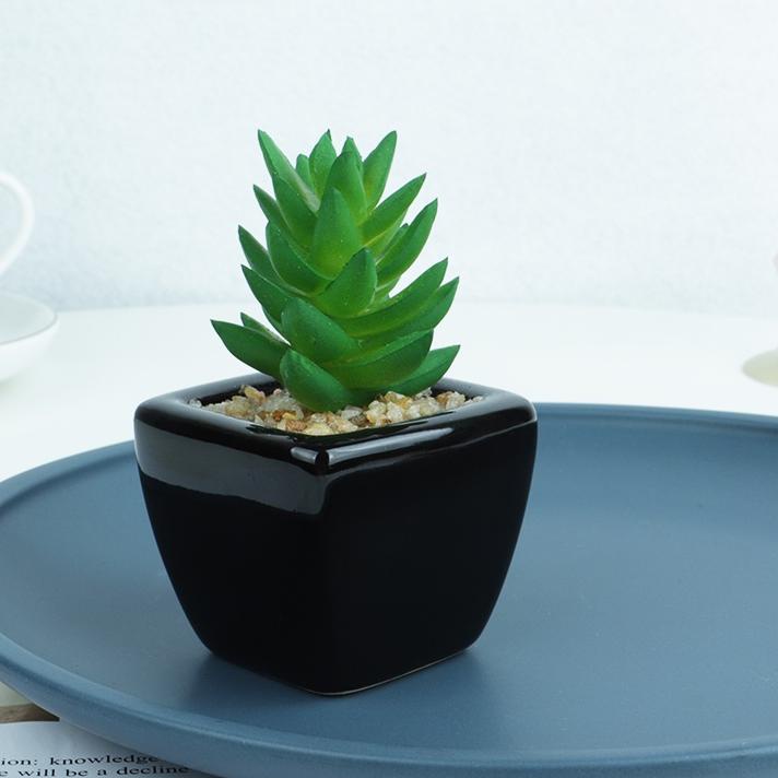 Menarik.. 【COD】Homes bunga hiasan kaktus hias dengan pot plastik tanaman sukulen 