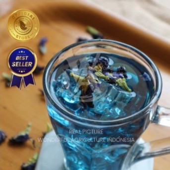 

Teh Bunga Telang Kering, 100% Organik, Herbal, Sehat dan Murah