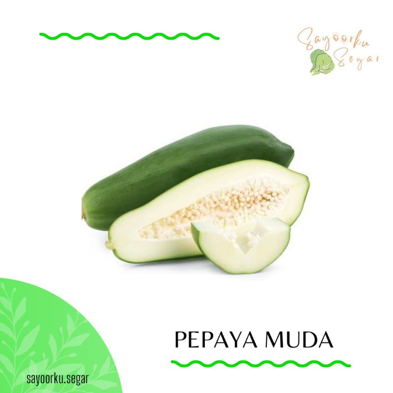 

KIRIM BESOK Buah pepaya muda / sayur pepaya 1 buah