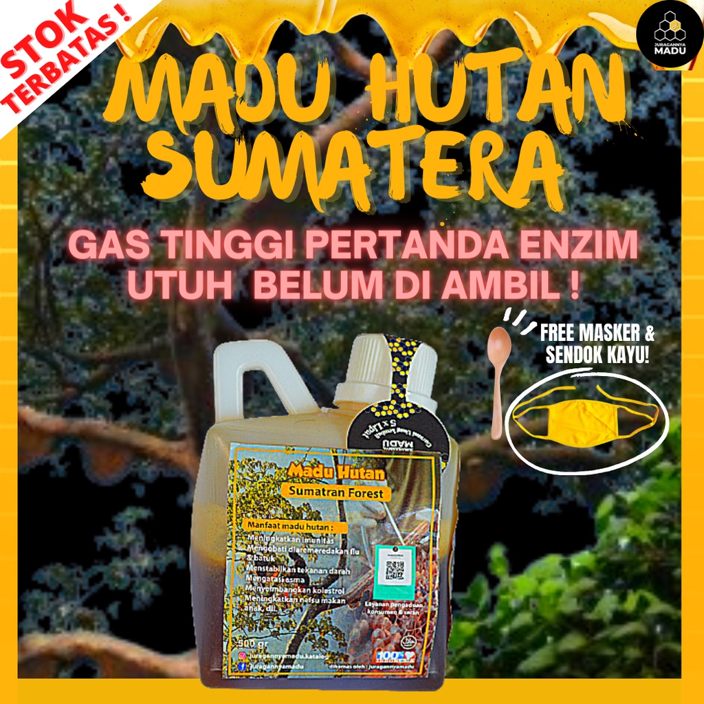 

MADU HUTAN MURNI ASLI 100% MEMILIKI GAS TINGGI YANG BANYAK ENZIM NYA 500 GR