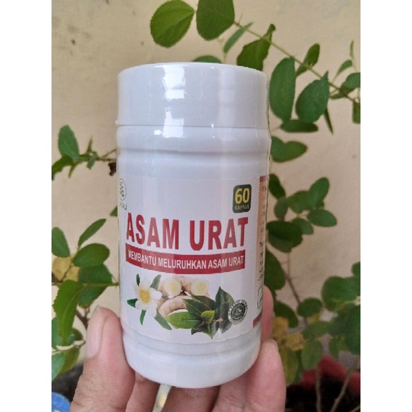 

Kapsul Asam Urat