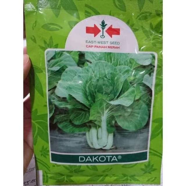Benih Sawi / Caisim Dakota Panah Merah (25 Gram)