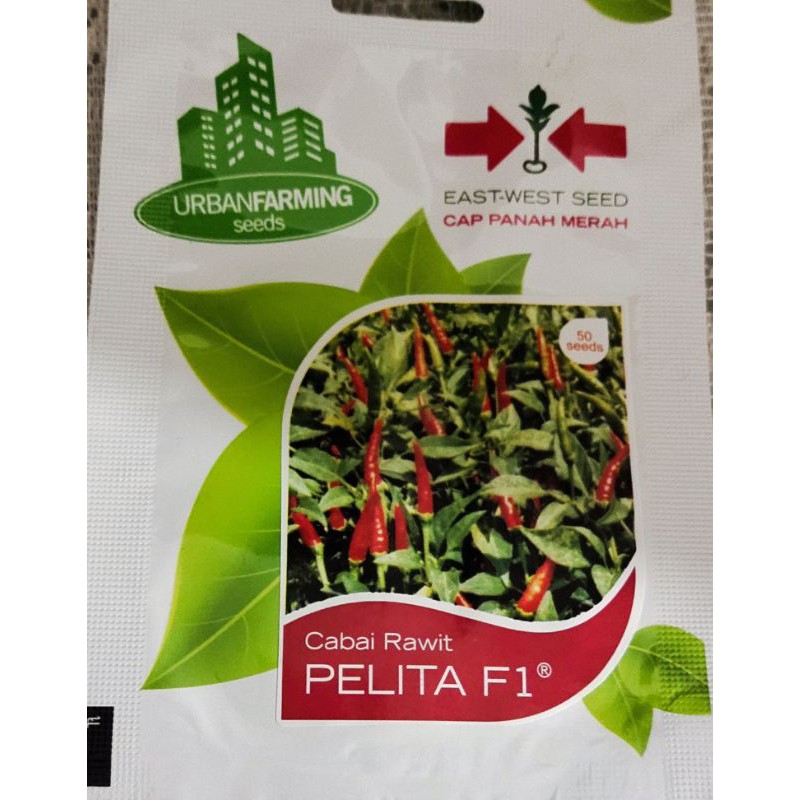 Benih Cabe rawit Pelita F1 Cap panah merah