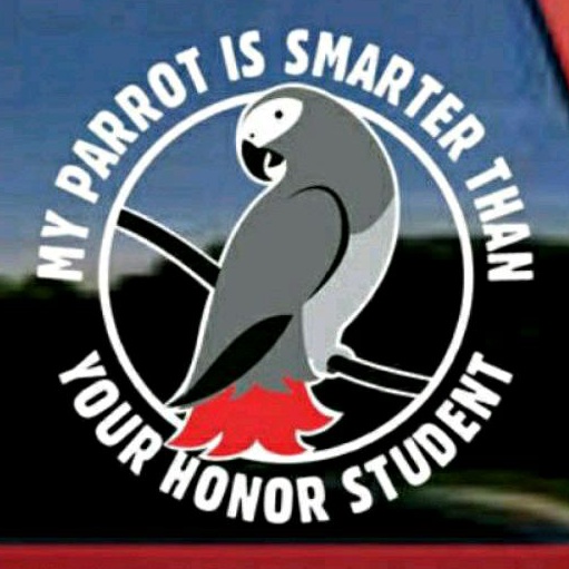 stiker Parrot is smarter than,, stiker burung Parrot, stiker pecinta burung