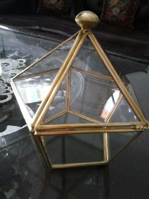 Tempat Cincin Terrarium