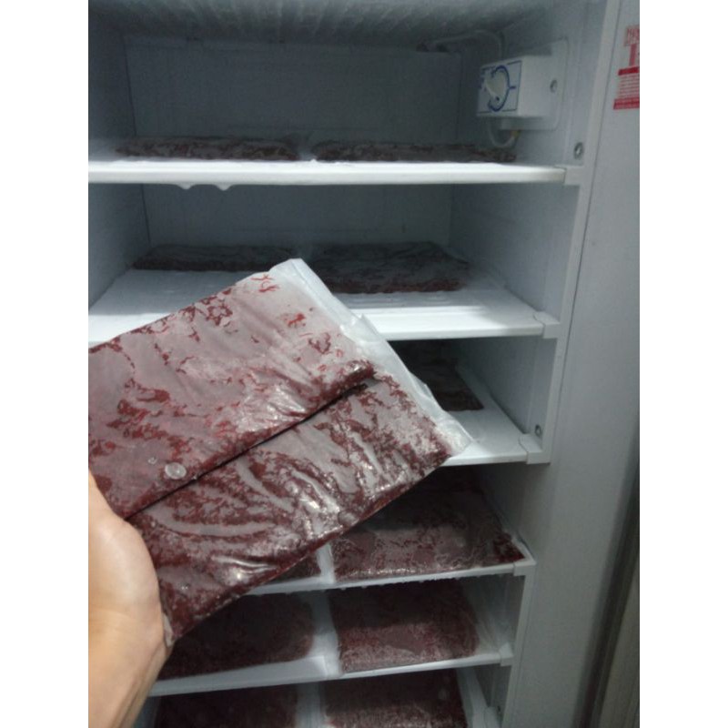 Cacing Darah Beku Lempeng 1kg isi 4 Bebas Bakteri
