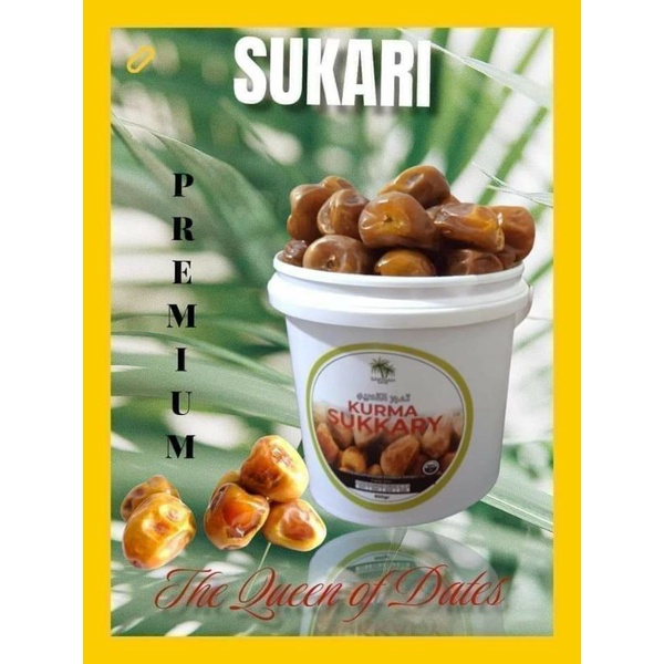 

Medan Kurma Sukari Ember