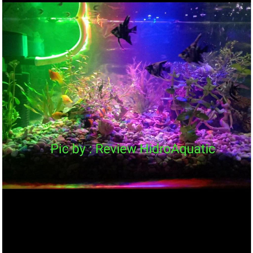 Lampu Aquarium 3 Warna 40cm / Lampu celup aquarium / Lampu led aquarium