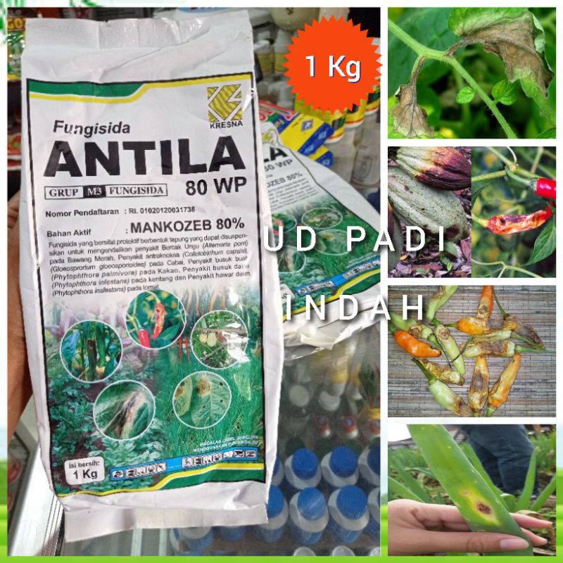 1KG FUNGISIDA ANTILA