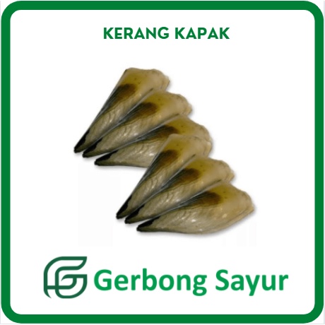

Kerang Kapak Segar - 500g