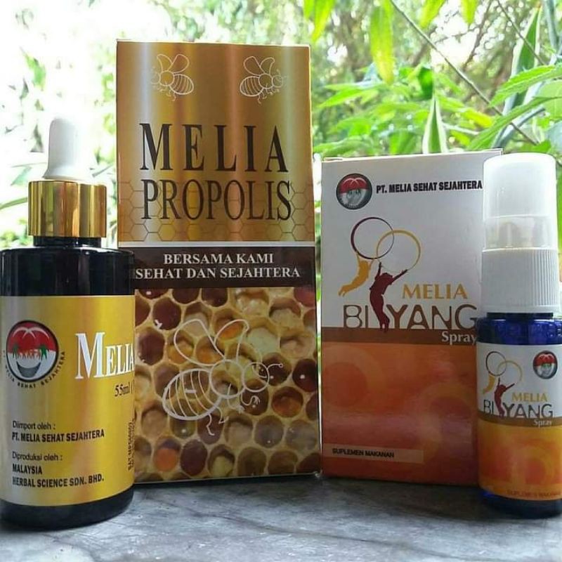PROPOLIS PT MELIA SEHAT SEJAHTERA