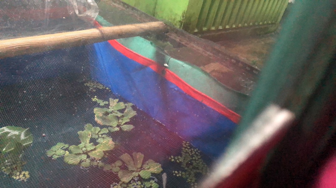 Botol Vaniili / Soda Kue /baking Powder 15ml