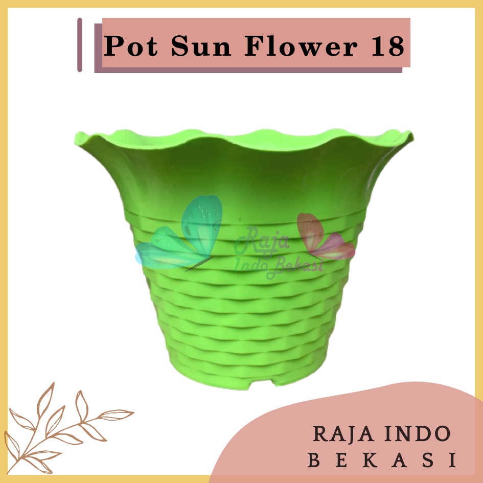 Pot Bunga Sun Flower MDN 18 Warna pot bunga cantik murah bagus ukuran 18 bukan tawon Pot Bunga Plastik Besar Gantung Hias Panjang Kecil Putih - Pot bunga SUN FLOWER MDN 10cm WARNA WARNI Pot Kecil Mini Pot Kaktus