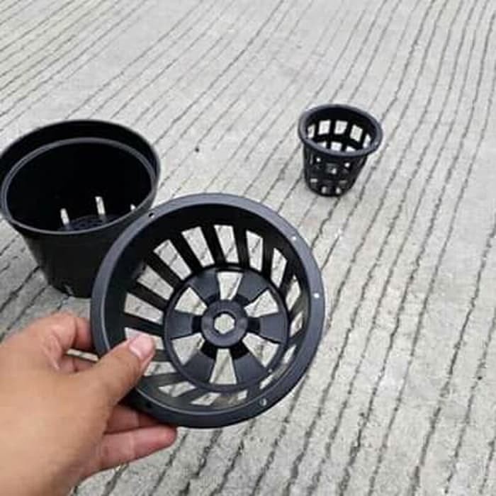 Dijual Pot Plastik Anggrek 12cm Pot Bunga Anggrek Orchid 12 cm Grosir Murah Limited