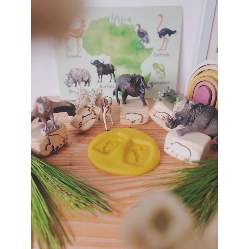 wooden stamper animals of the world continen