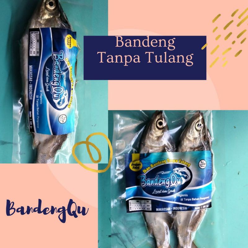 Brocher Ikan Baulu Tanpa Tulang